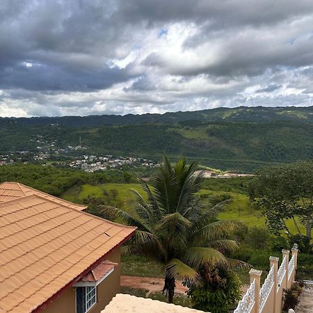 Lion'S View Bed & Breakfast ماندفيل المظهر الخارجي الصورة