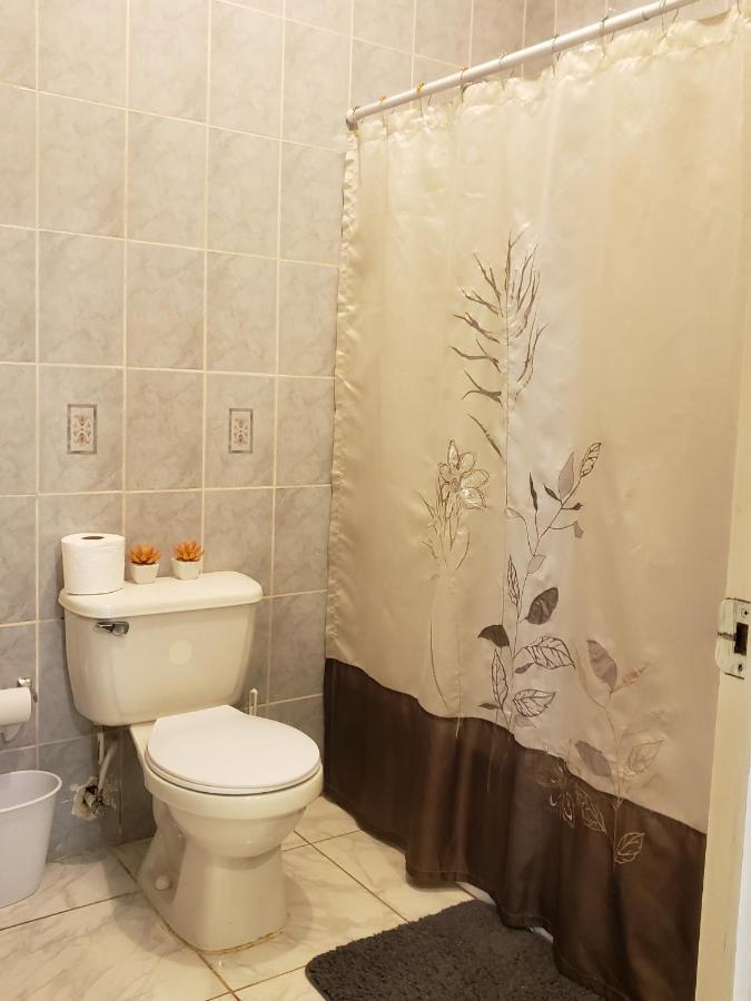 Lion'S View Bed & Breakfast ماندفيل المظهر الخارجي الصورة