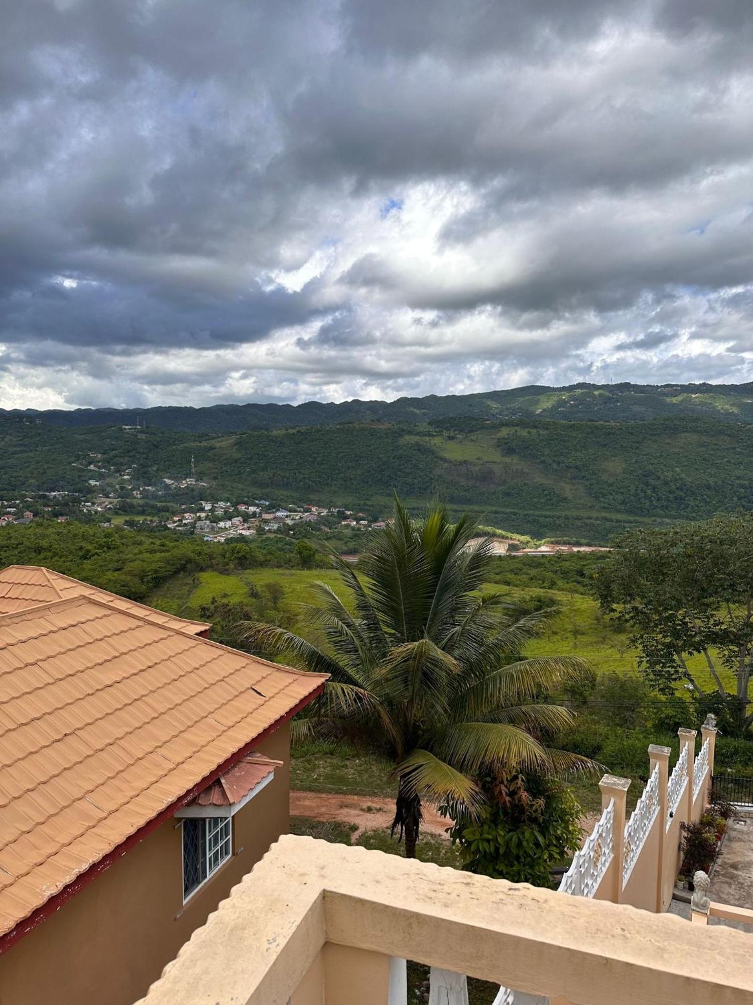 Lion'S View Bed & Breakfast ماندفيل المظهر الخارجي الصورة