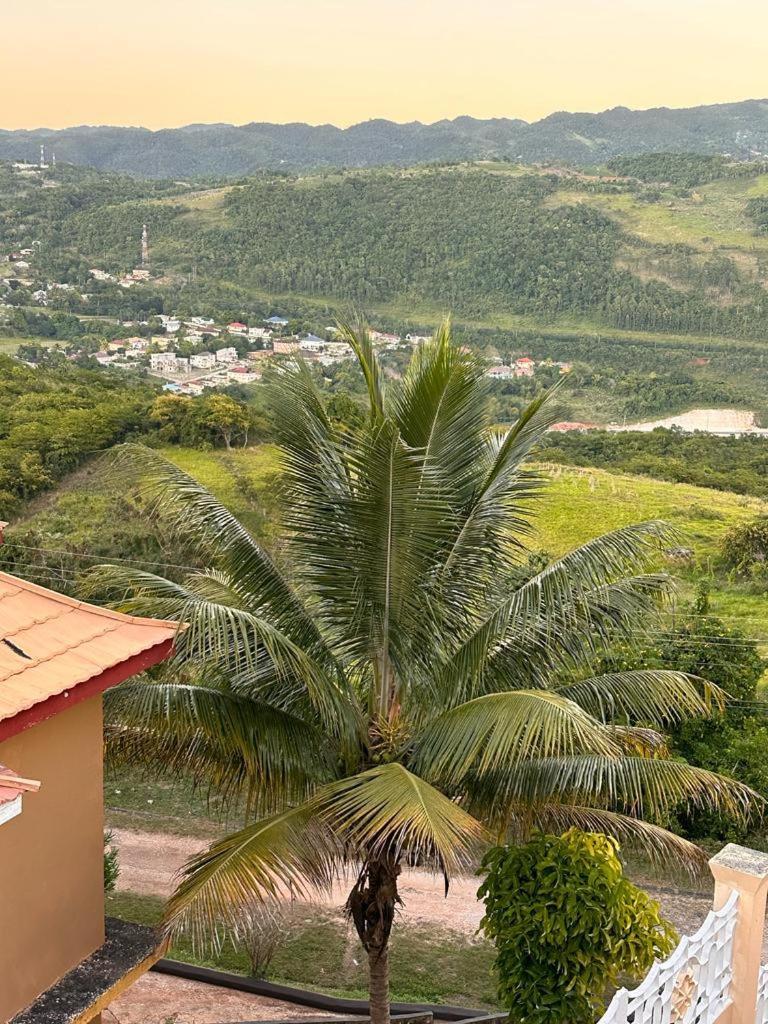 Lion'S View Bed & Breakfast ماندفيل المظهر الخارجي الصورة